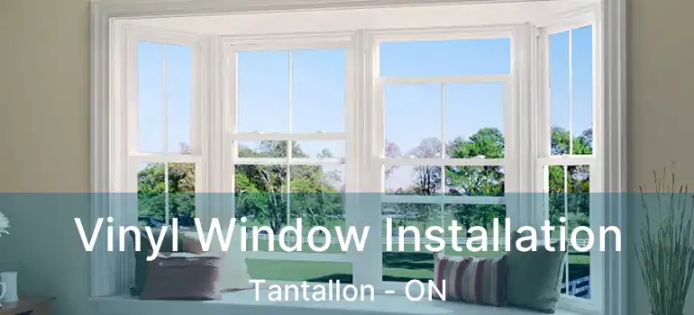  Vinyl Window Installation Tantallon - ON