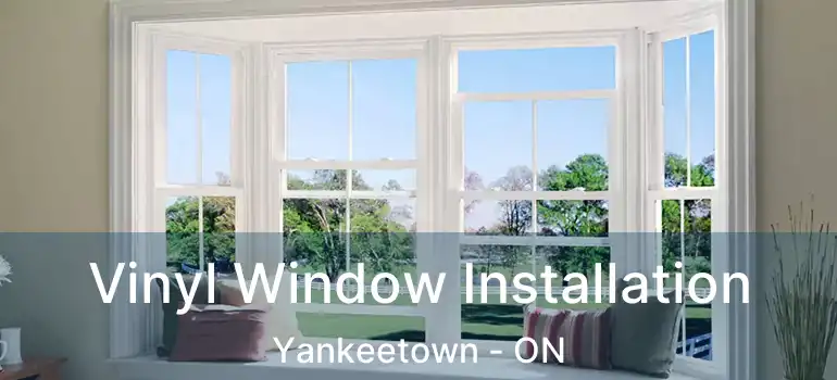  Vinyl Window Installation Yankeetown - ON