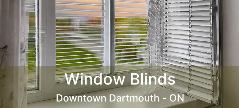  Window Blinds Downtown Dartmouth - ON