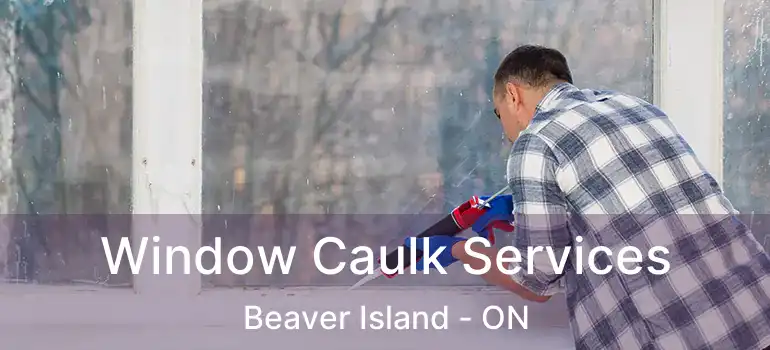  Window Caulk Services Beaver Island - ON