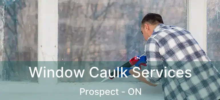  Window Caulk Services Prospect - ON