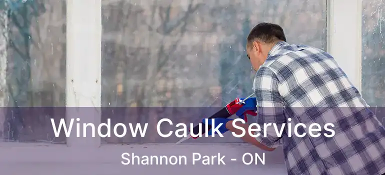  Window Caulk Services Shannon Park - ON