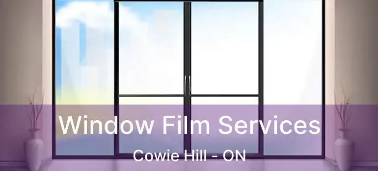  Window Film Services Cowie Hill - ON