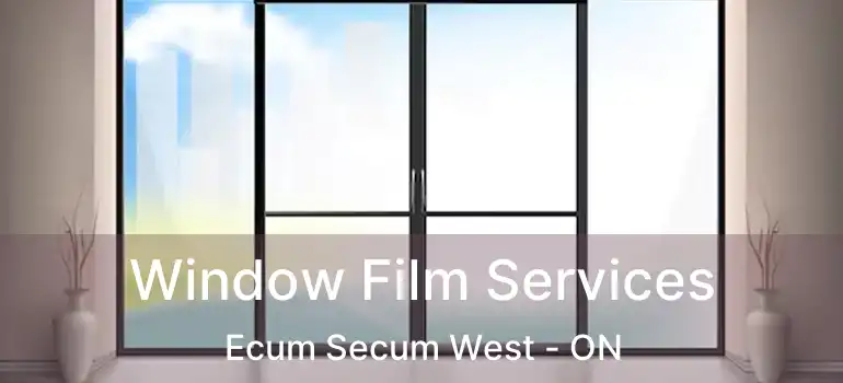  Window Film Services Ecum Secum West - ON