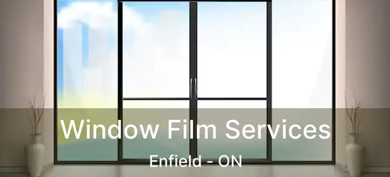  Window Film Services Enfield - ON