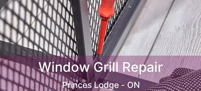  Window Grill Repair Princes Lodge - ON