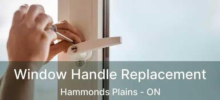  Window Handle Replacement Hammonds Plains - ON