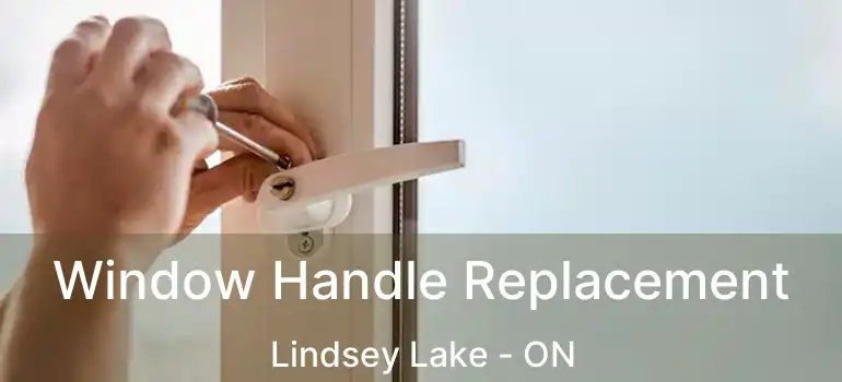  Window Handle Replacement Lindsey Lake - ON