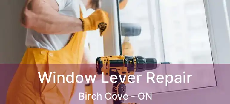  Window Lever Repair Birch Cove - ON