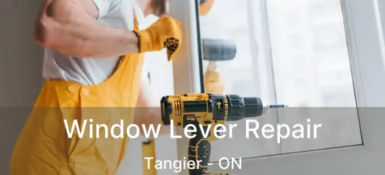 Window Lever Repair Tangier - ON