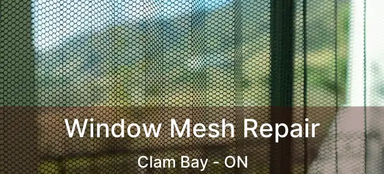 Window Mesh Repair Clam Bay - ON