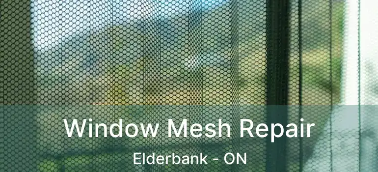  Window Mesh Repair Elderbank - ON