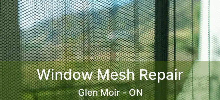  Window Mesh Repair Glen Moir - ON