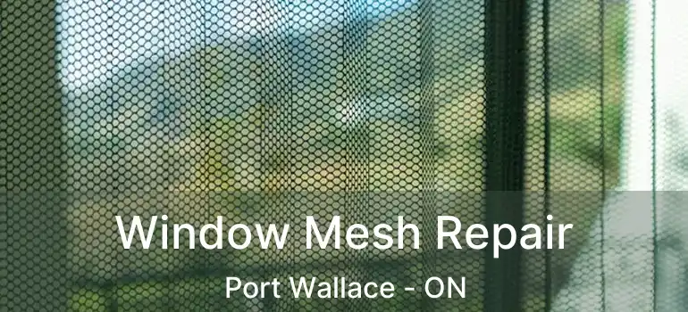  Window Mesh Repair Port Wallace - ON