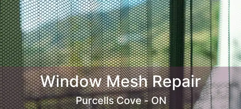  Window Mesh Repair Purcells Cove - ON