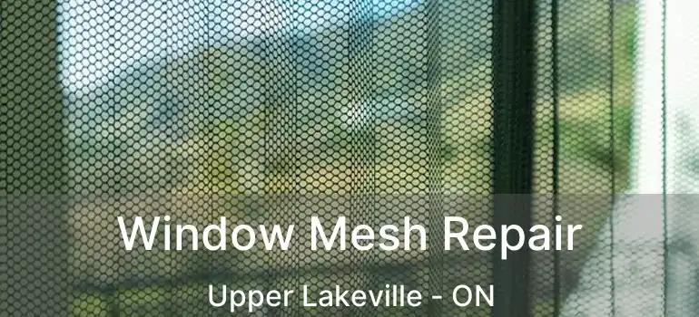  Window Mesh Repair Upper Lakeville - ON