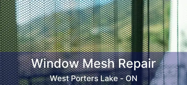  Window Mesh Repair West Porters Lake - ON
