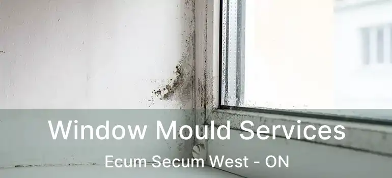 Window Mould Services Ecum Secum West - ON