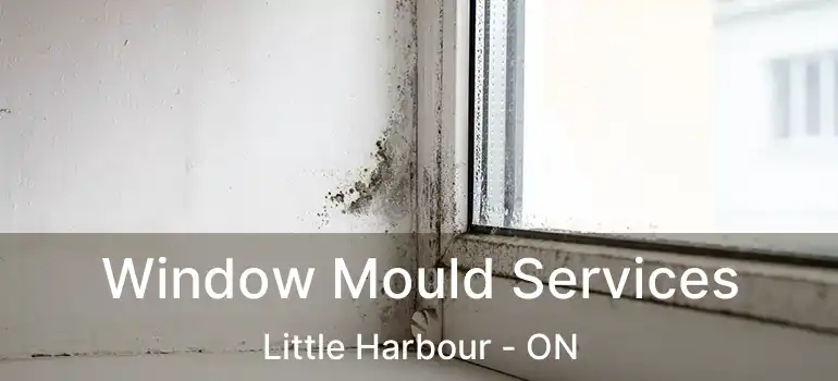  Window Mould Services Little Harbour - ON