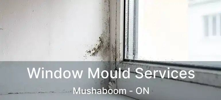  Window Mould Services Mushaboom - ON