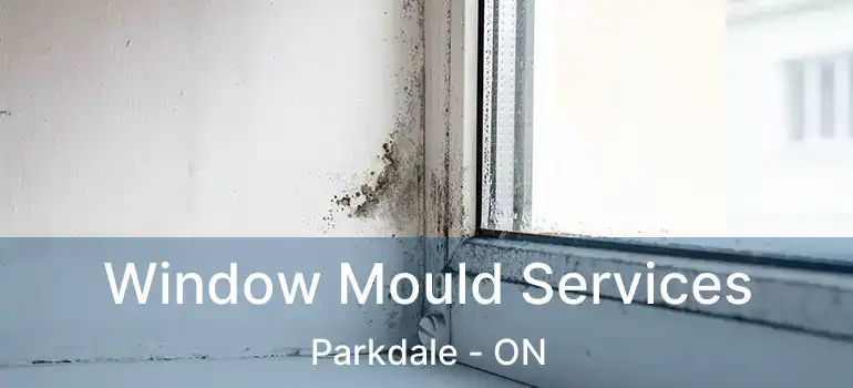  Window Mould Services Parkdale - ON