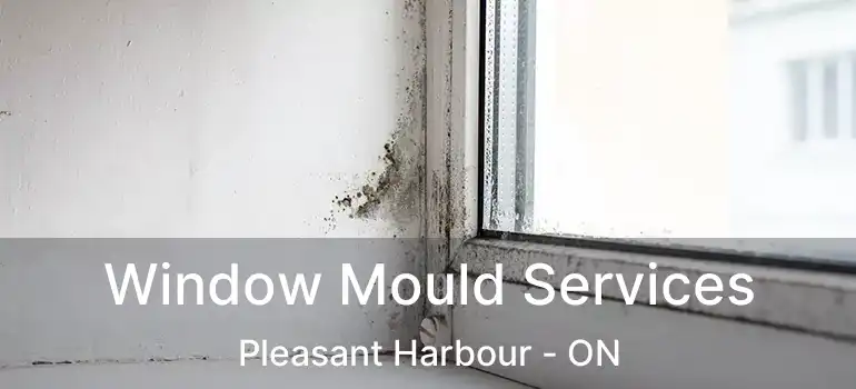  Window Mould Services Pleasant Harbour - ON