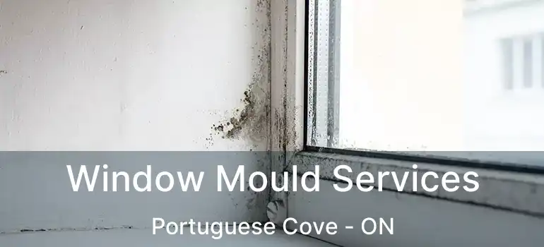  Window Mould Services Portuguese Cove - ON