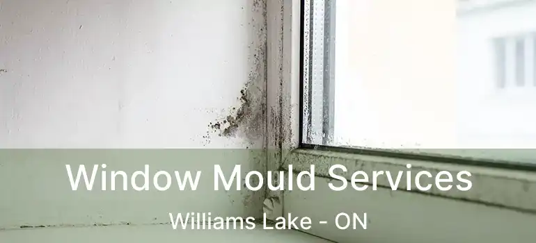  Window Mould Services Williams Lake - ON