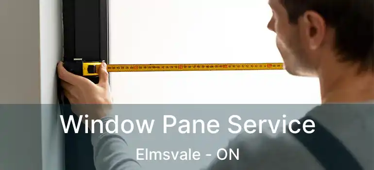 Window Pane Service Elmsvale - ON
