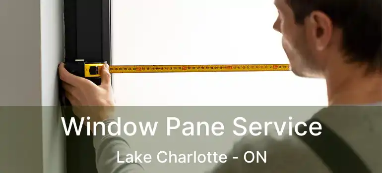  Window Pane Service Lake Charlotte - ON