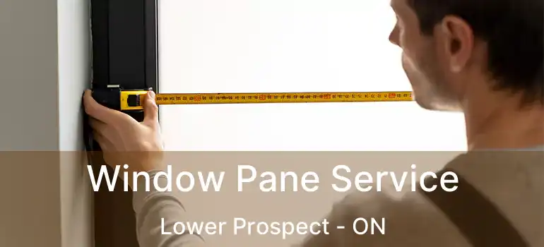  Window Pane Service Lower Prospect - ON