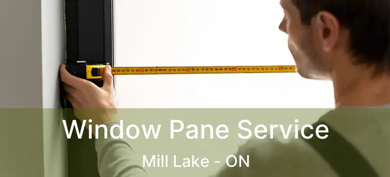  Window Pane Service Mill Lake - ON