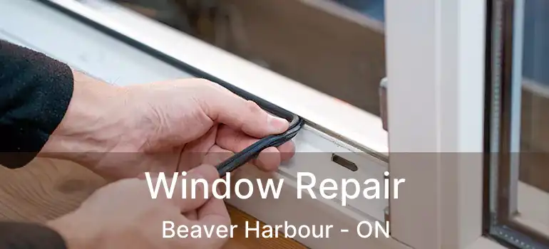  Window Repair Beaver Harbour - ON