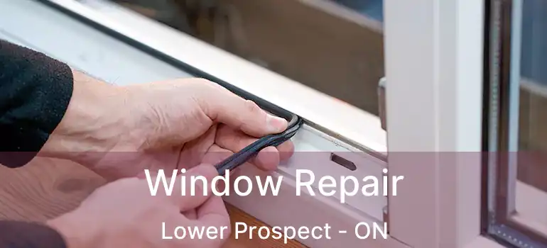  Window Repair Lower Prospect - ON