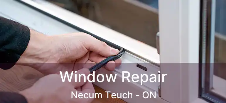  Window Repair Necum Teuch - ON