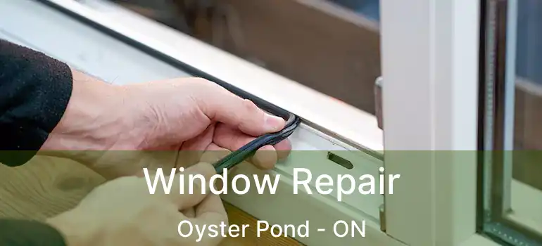  Window Repair Oyster Pond - ON