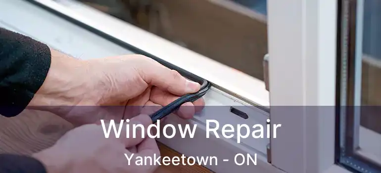  Window Repair Yankeetown - ON