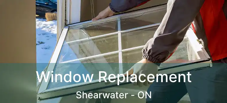  Window Replacement Shearwater - ON