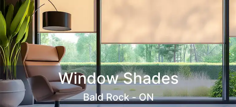  Window Shades Bald Rock - ON