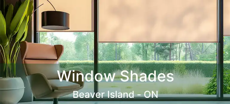  Window Shades Beaver Island - ON