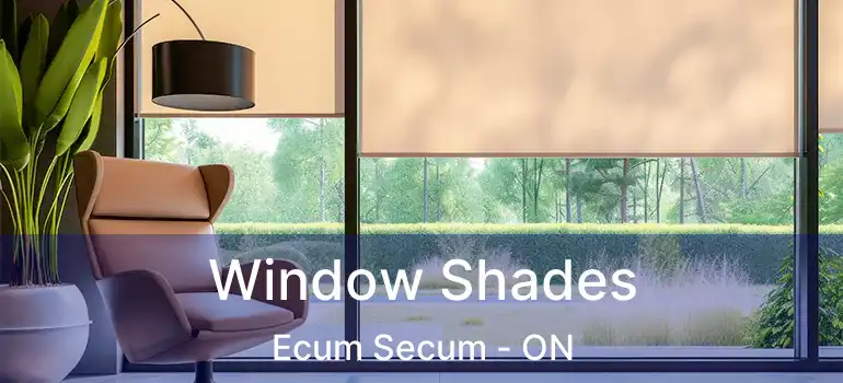  Window Shades Ecum Secum - ON