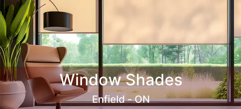  Window Shades Enfield - ON