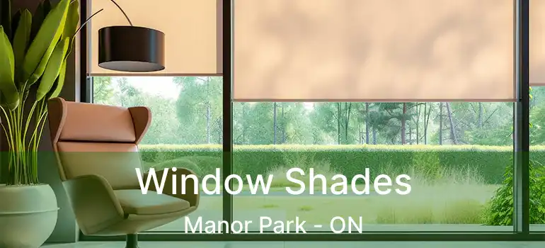  Window Shades Manor Park - ON