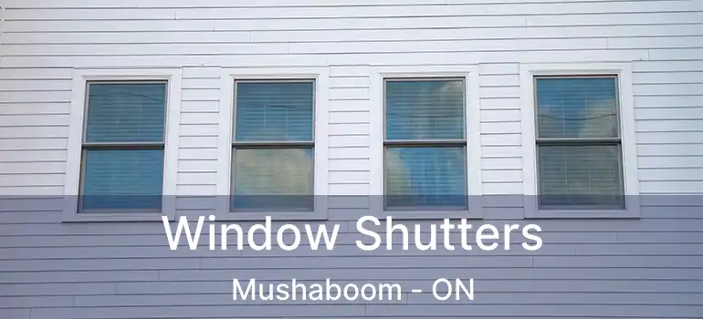  Window Shutters Mushaboom - ON