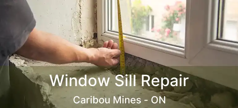  Window Sill Repair Caribou Mines - ON