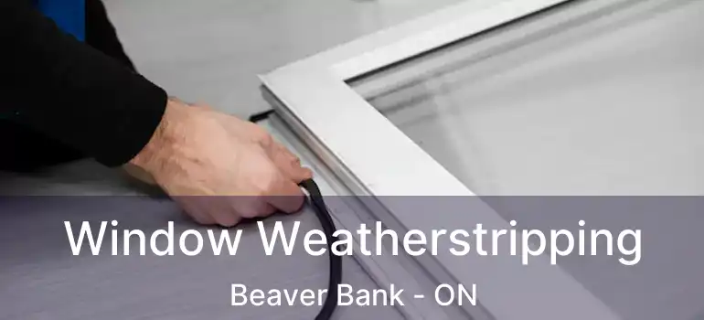  Window Weatherstripping Beaver Bank - ON