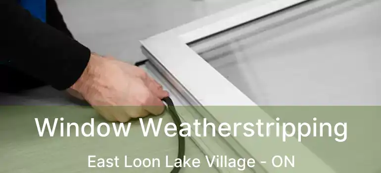  Window Weatherstripping East Loon Lake Village - ON
