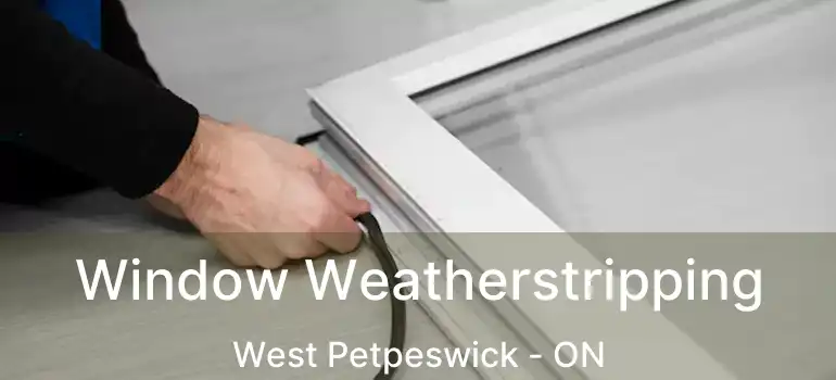  Window Weatherstripping West Petpeswick - ON