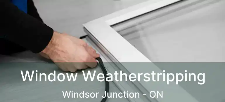  Window Weatherstripping Windsor Junction - ON