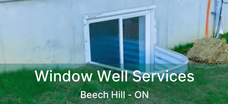  Window Well Services Beech Hill - ON